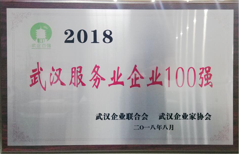 2018年武汉服务业企业100强 小图.jpg